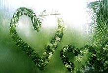 NBA即时比分直播网该怎么选？靠谱平台都有哪些特点？